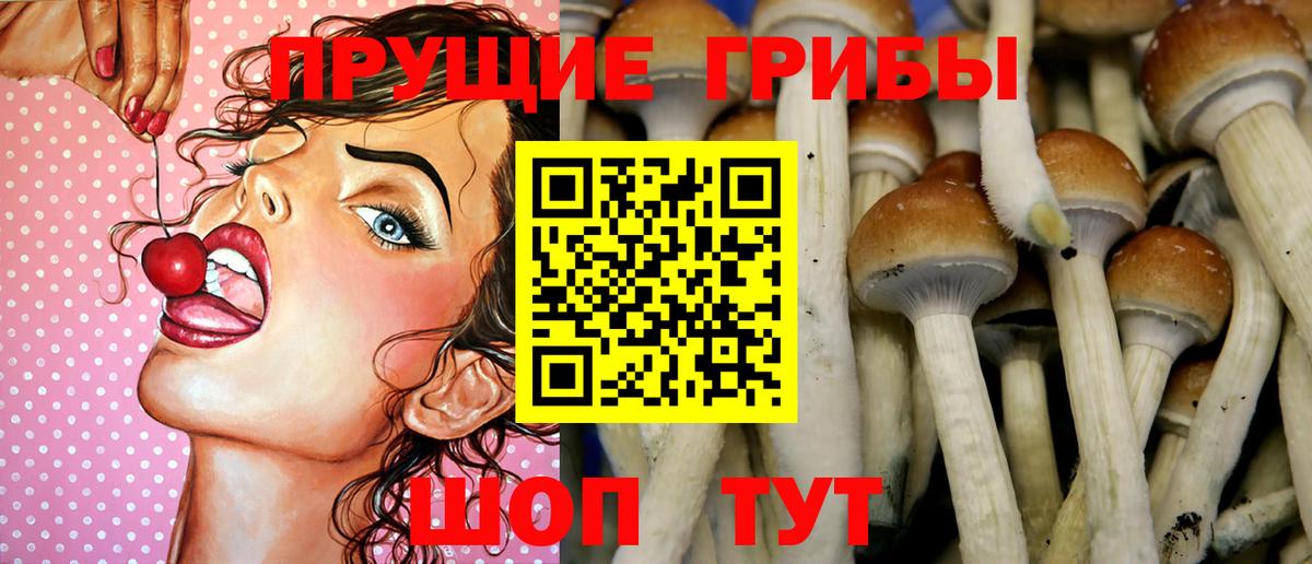 Псилоцибиновые грибы Magic Shrooms  Галлюциногенные грибы GOLDEN TEACHER  Вход с VPN  Владимир 