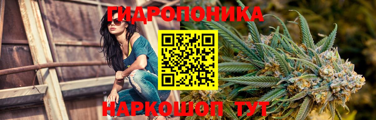 Конопля MAZAR Владимир